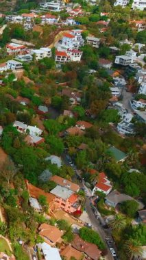 Los Angeles Hollywood Tepeleri 'ndeki lüks konutların havadan görünüşü. Şehrin yeşil ağaçlı caddeleri. Dikey video.