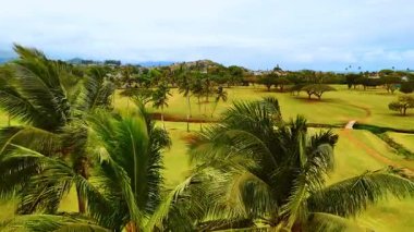 Oahu adasında Honolulu 'da palmiye ağaçları olan bir vadide çimlerle kaplı yeşil golf sahası. Yukarıdan hava görüntüsü. Ufukta bulutlar olan panoramik manzara.