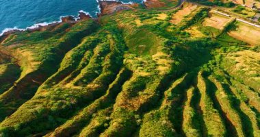 Hawaii, Oahu 'daki Koko krater başlıklı hava manzarası. Dalgalı tepeler, yoğun yeşil bitki örtüsüyle kaplı volkanın yamaçları. Okyanus kıyısındaki otoyol. Hava görünümü.