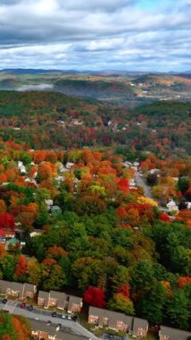 Parlak renkli sonbahar ağaçları ve dağlarda küçük konut evleri. Amerika 'daki doğal parkın havadan görünüşü. Dikey video.