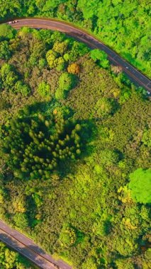 Oahu adasının derinliklerinde, yeşil çimenler ve ağaçların arasında bir volkanın yamaçlarında kıvrılan bir dağ yolu yılanı. Havadan yukarıdan aşağıya doğru. Dikey video.