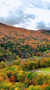 Ormandaki bir dağın eteklerine kurulmuş birkaç bina sonbahar tepe örtüsünü dikizliyor. Bulutlu gökyüzü. Hava görüntüsü. Dikey video.