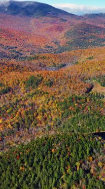 Panoramik bir hava manzarası, karlı zirvelere doğru uzanan bir sonbahar ağacı vadisini ortaya çıkarıyor. Sıcak yeşillik ve serin dağlar arasındaki zıtlık mevsimsel dönüşümdür. Dikey video.
