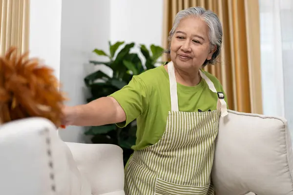 stock image Senior Woman in apron dusts armchair in living room, hold a pillow in one hand, Housemaid cleaning and arranging sofa cushions at home