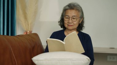 Asyalı son sınıf öğrencisi bir kitap okumaya dalmış, koltukta rahatça oturuyor. Oturma odasında gözlük takıyor. Arka planda hafif ışıklandırma ve dekoratif bitki var..