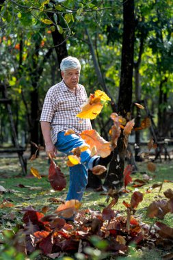 Asyalı yaşlı bir adam, neşeli bir şekilde parktaki renkli sonbahar yapraklarını tekmeliyor. Mevsimin basit zevklerinin tadını çıkarıyorum..