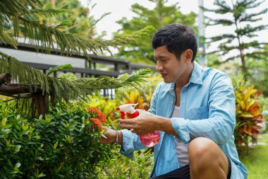 Asyalı adam bahçede diz çökmüş kırmızı çiçekler püskürtüyor, gülümsüyor ve sabah güneşinde bahçe işlerinden zevk alıyor.