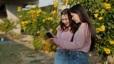 İki genç Asyalı kadın parkta bankta oturuyor, biri diğerinin duygusal görünmesine yardım ediyor. Tartışma sırasında el ele tutuşuyorlar. Bir destek ve dostluk anı..