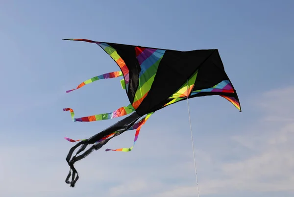 Grote Zwarte Vlieger Met Veelkleurige Regenboogstrepen Vliegt Hoog Blauwe Lucht — Stockfoto