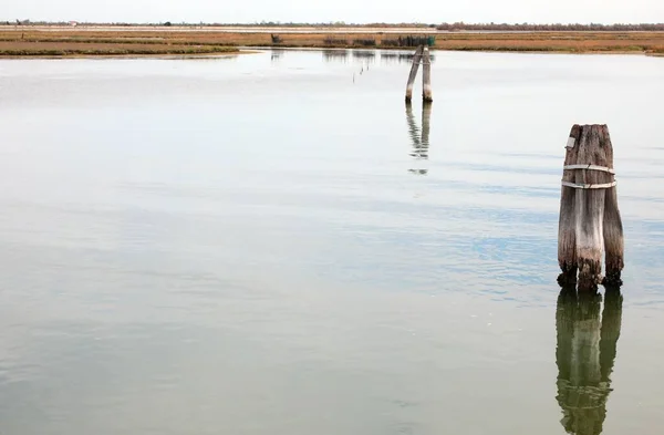 Lagoa Veneziana Perto Veneza Pólos Onde Sinais Maré Baixa Podem — Fotografia de Stock