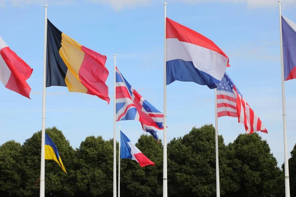 Багато Міжнародних Прапорів Летять Під Час Міжнародної Зустрічі — стокове фото