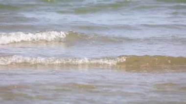 Gündüzleri deniz dalgalarıyla kıyıya doğru insanların olmadığı basit bir manzara.