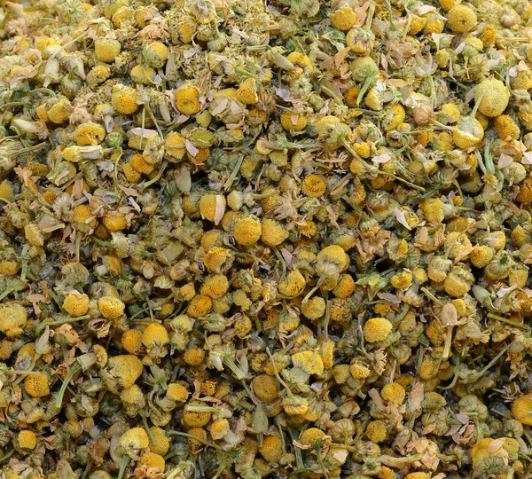 许多干洋甘菊花 用来准备轻松的热草茶 — 图库照片