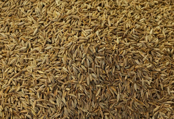 Background Many Cumin Seeds Flavor Dishes — Stock Photo, Image