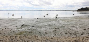 # Bataklıkta kıyıya vurmuş kayıklar # # Denizin kıyısında gelgitte #