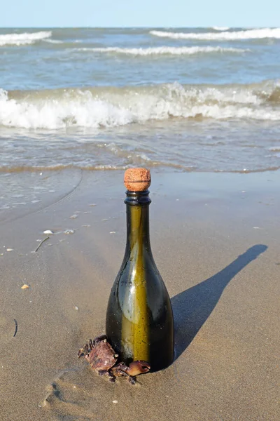 bottle containing a secret message on the beach and crab that stands guard