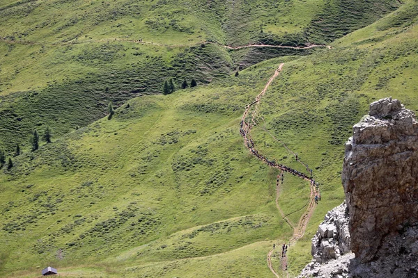 Wiele Osób Szlaku Turystycznym Alpach Włoskich Pasmie Górskim Dolomity Włoszech — Zdjęcie stockowe