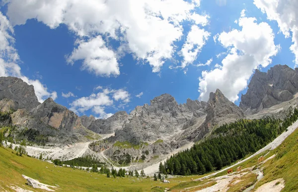 Panorama Dos Alpes Italianos Grupo Montanha Dolomitas Itália Perto Cidade — Fotografia de Stock