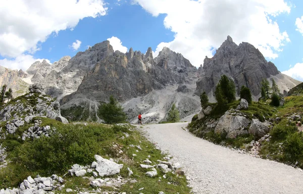Panorama Över Italienska Alperna Dolomiterna Berggrupp Italien Nära Paneveggio Town — Stockfoto