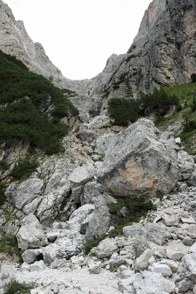 Панорама Італійських Альп Гірській Групі Доломітів Північній Італії Влітку — стокове фото
