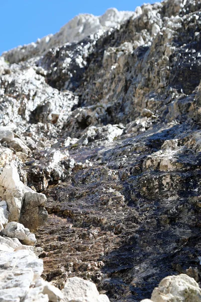 알프스의 바위들 사이를 흐르는 스프링 — 스톡 사진
