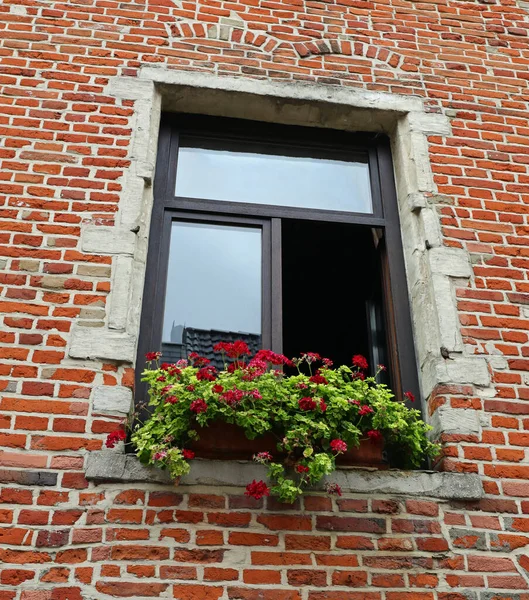 Fönster Tegelhus Och Blommiga Tröskel Med Krukväxter Geranium — Stockfoto