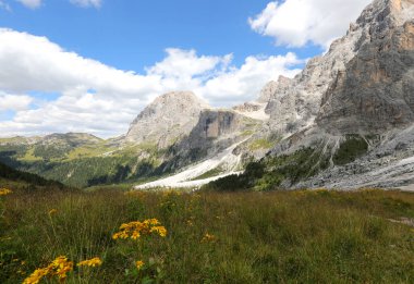 İtalyan Alplerinin Paneveggio kasabası yakınlarındaki Dolomites dağ grubundaki panoraması