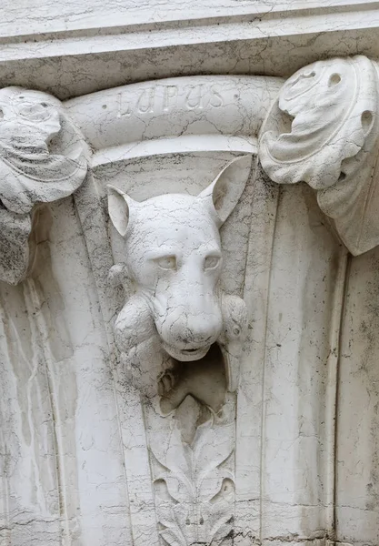Скульптура Надписью Lupus Означает Волк Венецианском Диалекте Венеции Колонне Дворца — стоковое фото