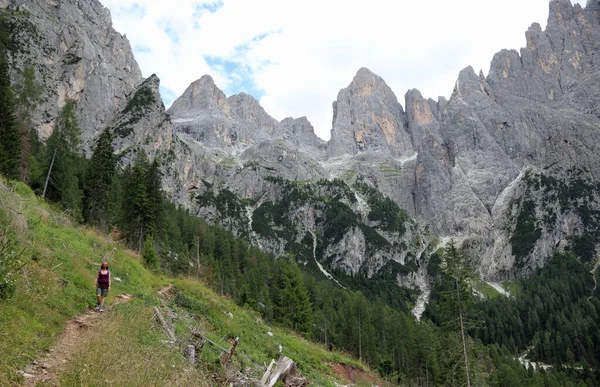 Ung Kvinna Vandrare Promenader Det Höga Berget Spår Italienska Alperna — Stockfoto