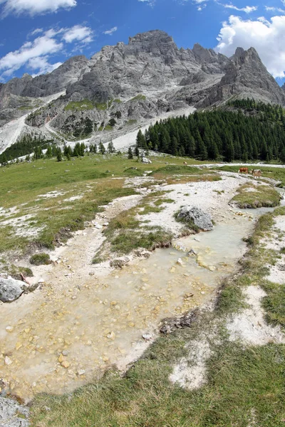 Panorama Los Alpes Italianos Grupo Montaña Dolomitas Italia Cerca Ciudad — Foto de Stock
