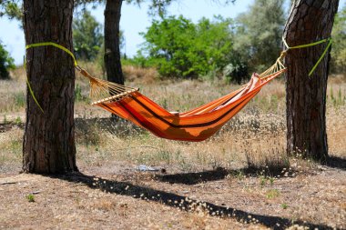 Kız yazın hamakta dinleniyor Yazın tatil köyünde