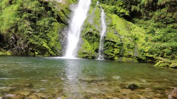 Natural Waterfall Middle Woods Pond Vídeos De Bancos De Imagens Sem Royalties