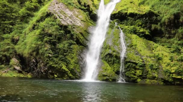 Bubbling Waterfall Water Falling Pond Forest Video de stock libre de derechos