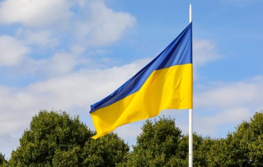 blue and yellow colors of Ukraine flag and blue sky