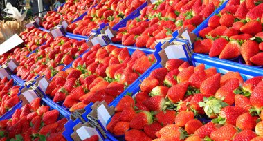 background of ripe red strawberries for sale at market