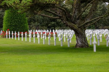 Colleville-sur-Mer, FRA, France - August 21, 2022: American Military Cemetery and many crosses on the graves of the soldiers