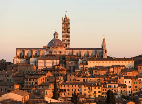 Cathedral of the City of Siena in Tuscany region of Italy at sunset