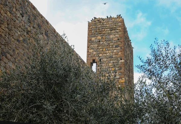 Ancient Tower of City Walls in Monteriggioni Town near Siena City in Cental ITALY