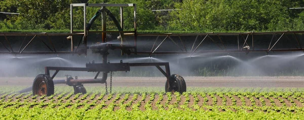 Grande Impianto Automatico Irrigazione Sprinkler Nel Campo Coltivato Durante Periodo — Foto Stock
