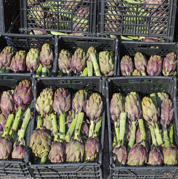 Много Больших Зеленых Артишоков Продажи Рынке Овощей Открытым Небом — стоковое фото