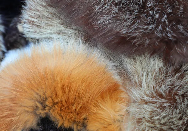 Background Scraps Animal Fur Stoles Sale Luxury Furrier — Stock Photo, Image