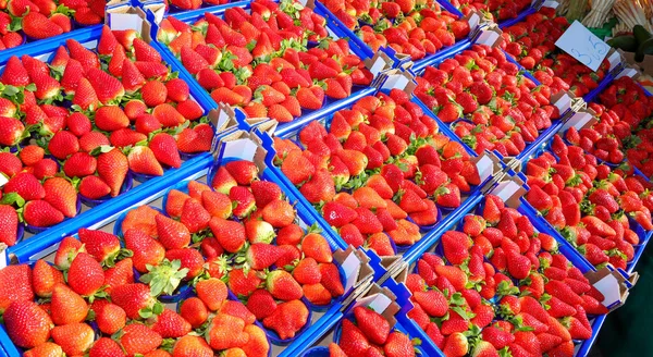 Muitas Cestas Morangos Vermelhos Maduros Para Venda Mercado Frutas Vegetais — Fotografia de Stock
