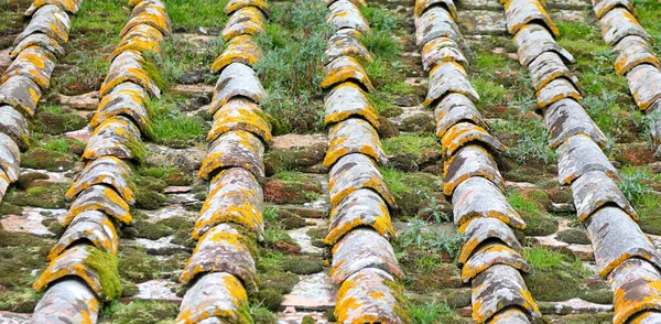 Πλακάκια Τερακότα Αρχαίας Στέγης Πολλά Βρύα Και Υγρασία — Φωτογραφία Αρχείου