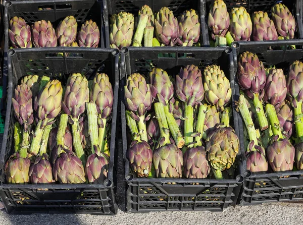 Açık Hava Sebze Pazarında Satılık Bir Sürü Büyük Yeşil Enginar — Stok fotoğraf