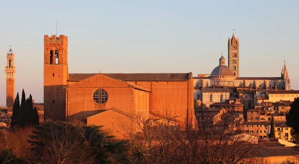 意大利托斯卡纳的锡耶纳全景与圣多梅尼科教堂 主教座堂和塔楼的日落 — 图库照片
