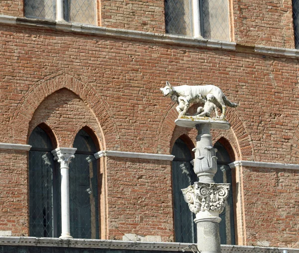 意大利锡耶纳市一只名叫Lupa Senese的母狼雕像 — 图库照片