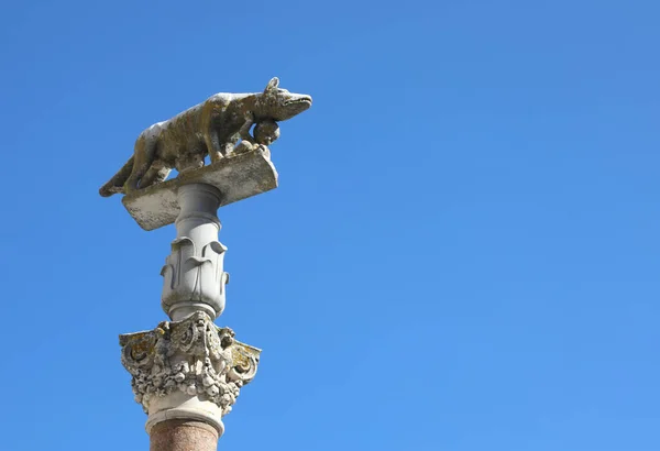 Άγαλμα Θηλυκού Λύκου Στη Σιένα Της Ιταλίας Που Ονομάζεται Lupa — Φωτογραφία Αρχείου