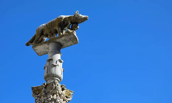 Άγαλμα Θηλυκού Λύκου Στη Σιένα Τοσκάνης Της Κεντρικής Ιταλίας Που — Φωτογραφία Αρχείου