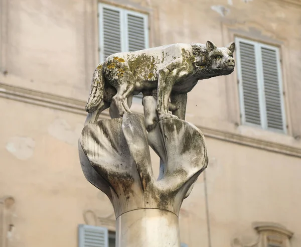 Estatua Una Mujer Lobo Ciudad Siena Italia Llamada Lupa Senese —  Fotos de Stock