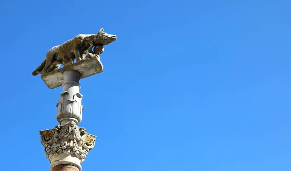 Статуя Жінки Вовка Сієні Тоскані Центральній Італії Під Назвою Lupa — стокове фото
